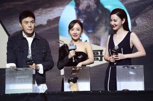 娱乐圈吃瓜汇总718,揭秘明星幕后真相与八卦风云